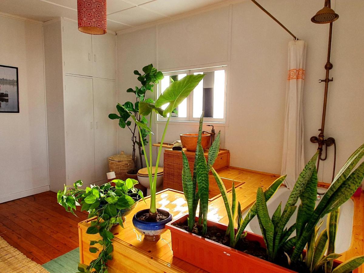 Houseboat65 - Historic Home On The Nile - Central Kairo Exterior foto