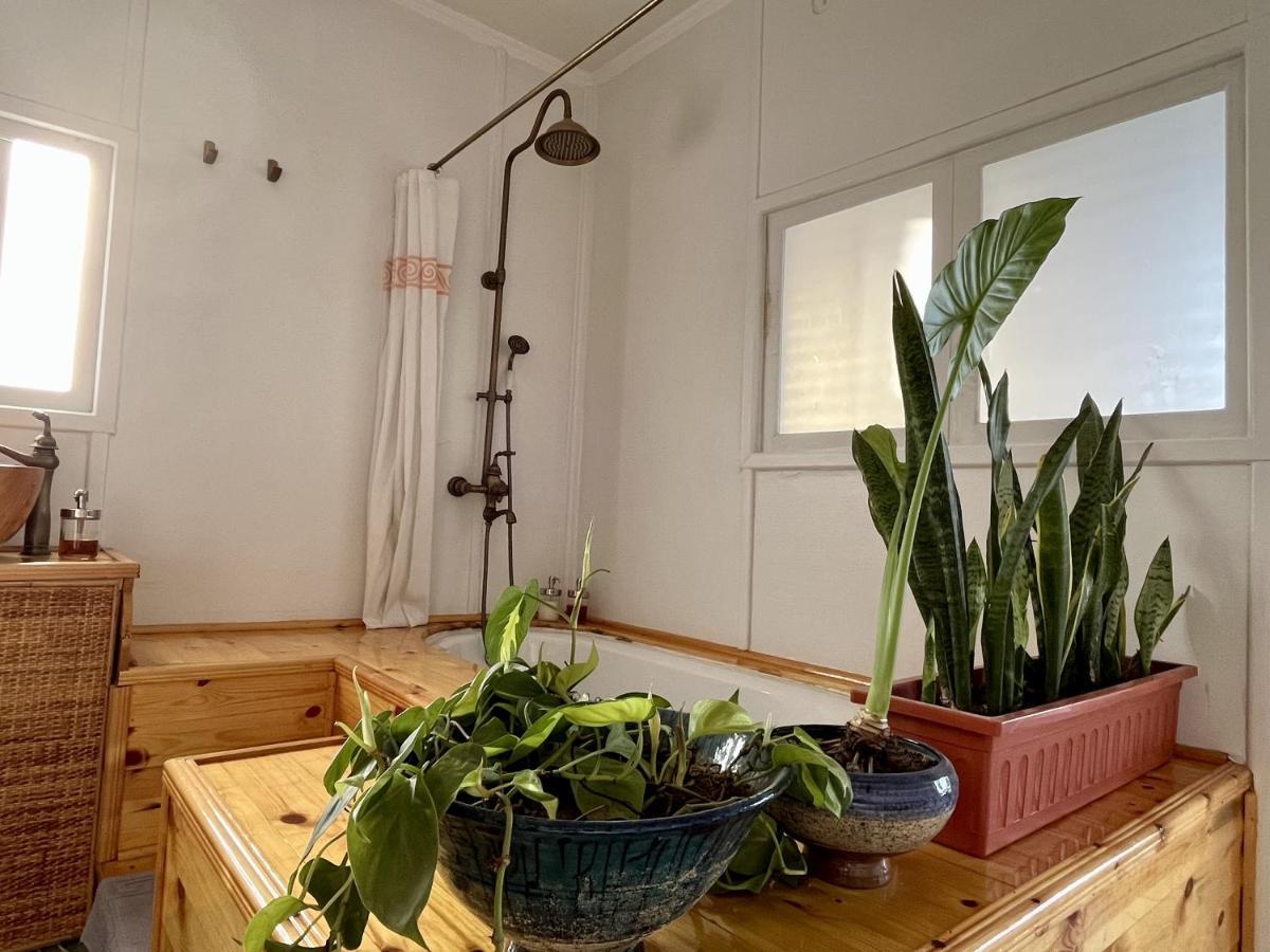 Houseboat65 - Historic Home On The Nile - Central Kairo Exterior foto